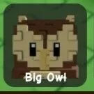 Owl (Rare) — Account account