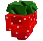 Strawberry Seed