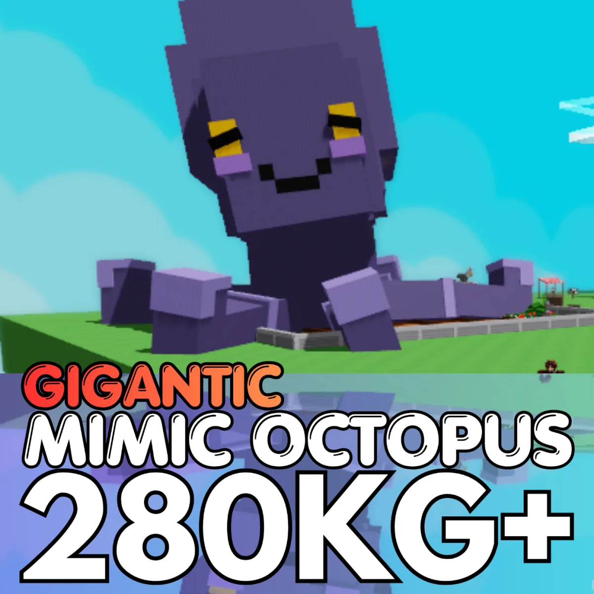GIGANTIC Huge Mimic Octopus 280KG+ 15sec CD Age 500 INSTANT DELIVERY