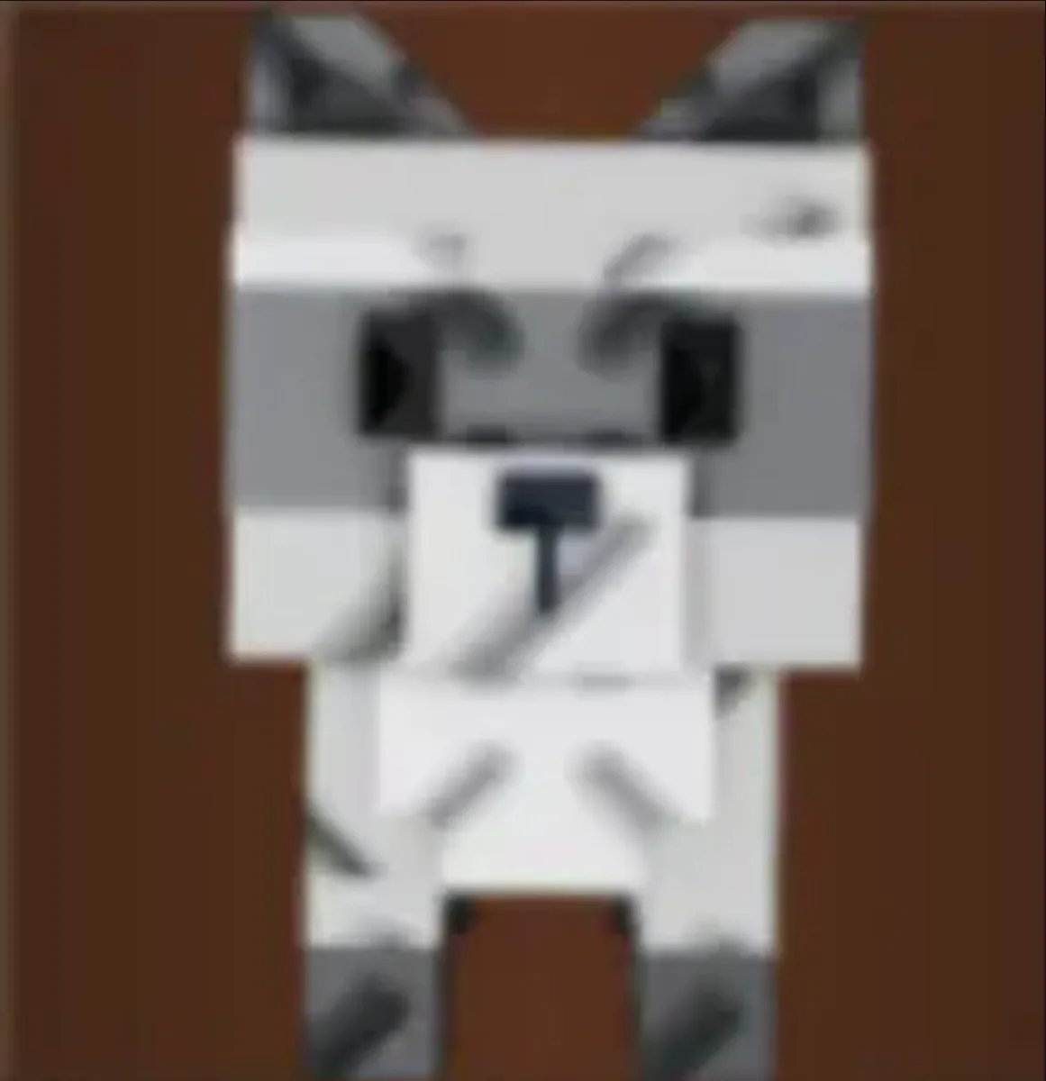 Raccoon (Super)