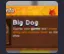 Big Dog