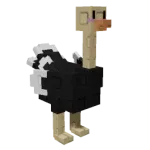 Ostrich — Account account