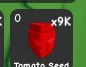 Tomato Seed