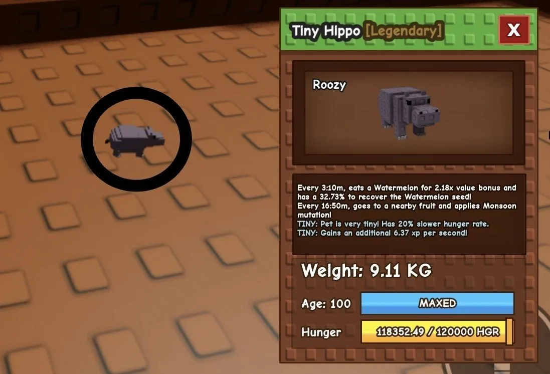 TINY Hippo - 9.11 KG (Age 100)