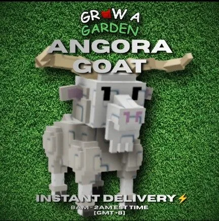 ANGORA GOAT