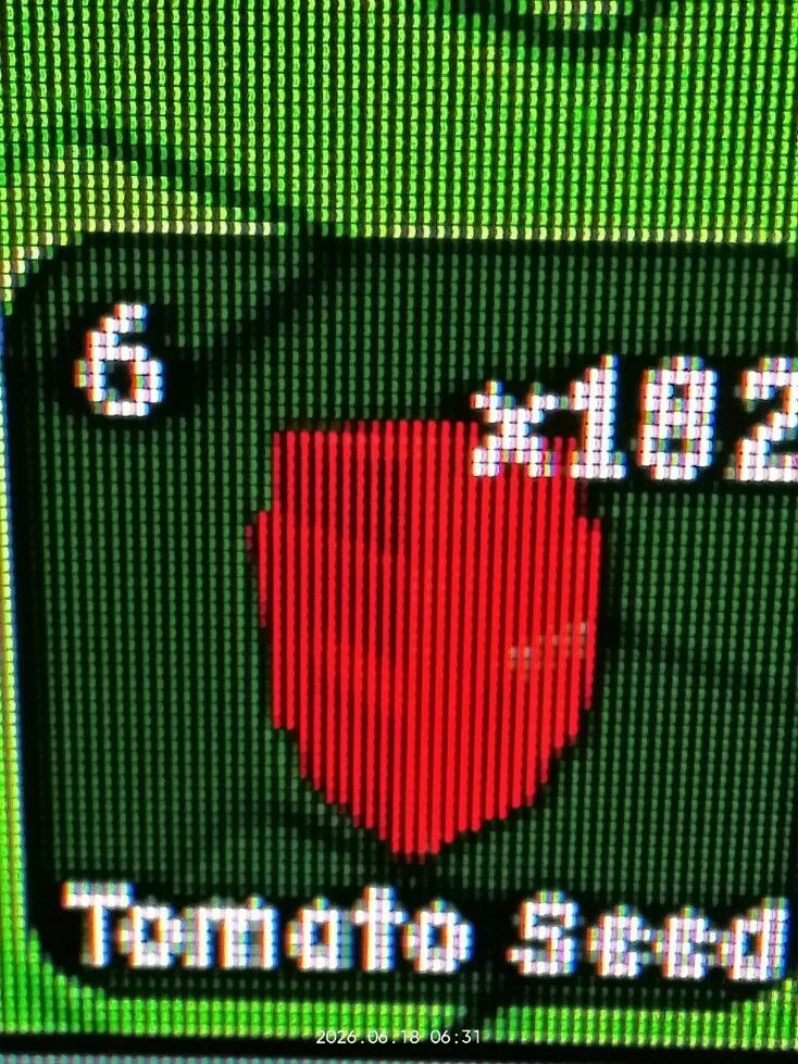 Tomato Seed (Uncommon) — Account account