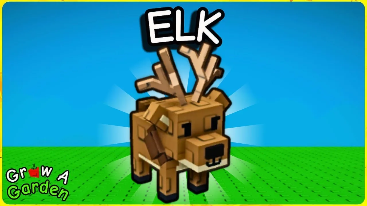 Elk Pet — Account account
