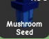 Mushroom Seed (Rare) — Account account
