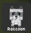 Raccoon (Super) — Account account