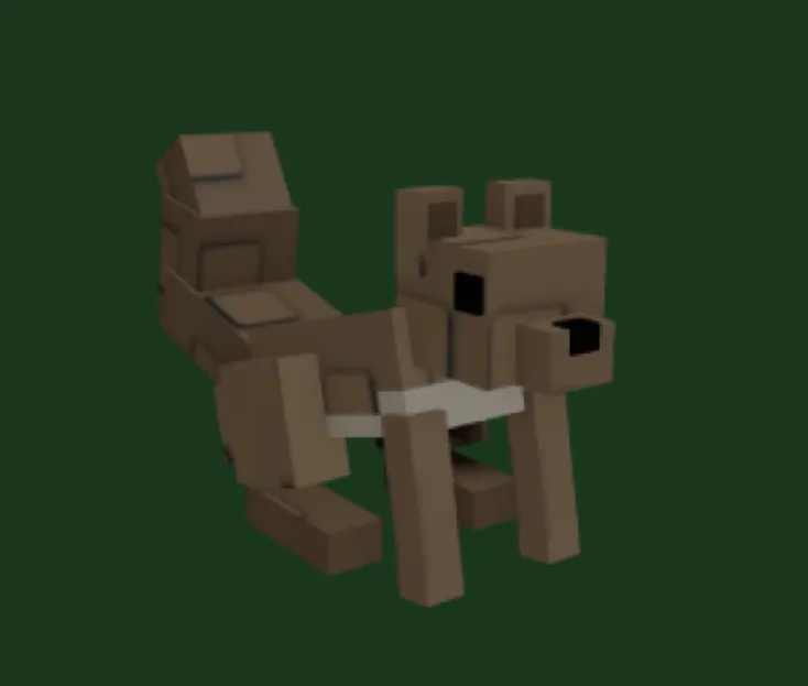 Squirrel pets