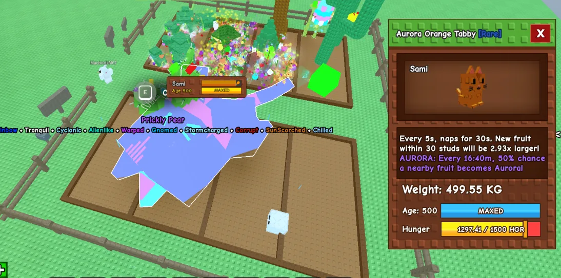 499KG Aurora Orange Tabby Rare // super handsome // Age 500 Maxed // 2.93X Fruit Size Boost