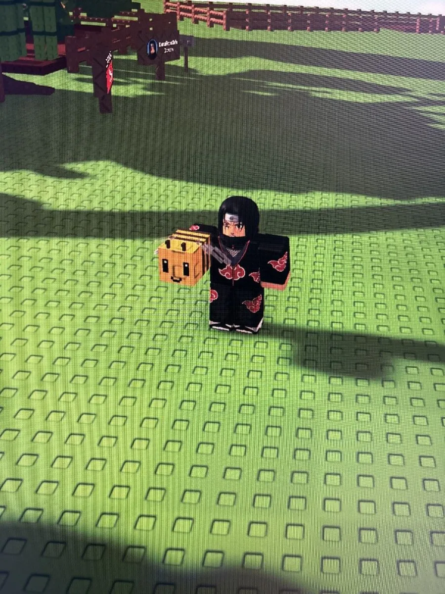 Bee (Legendary) — Account account
