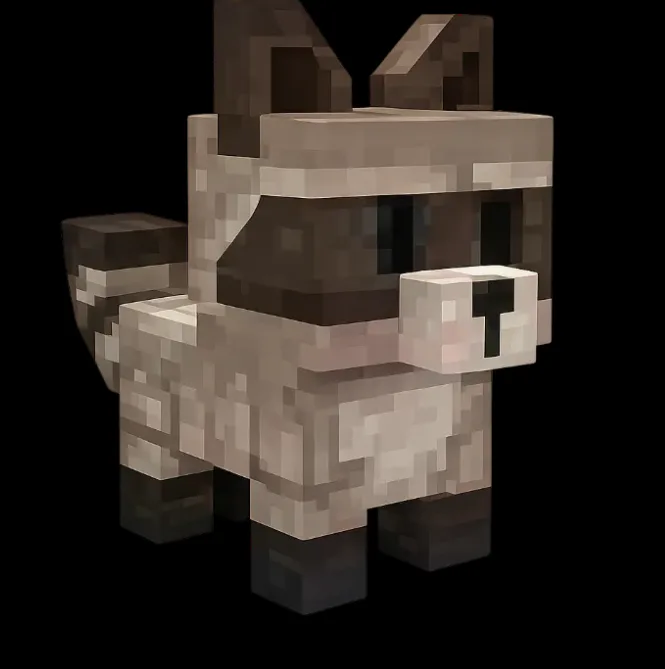 Raccoon (Super) — Account account
