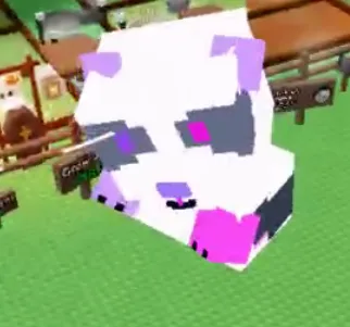 280kg+ Glimmering Panda super handsome//this is not bear on bike//because i run out of tag limitation so i pink this// this is panda — Account account