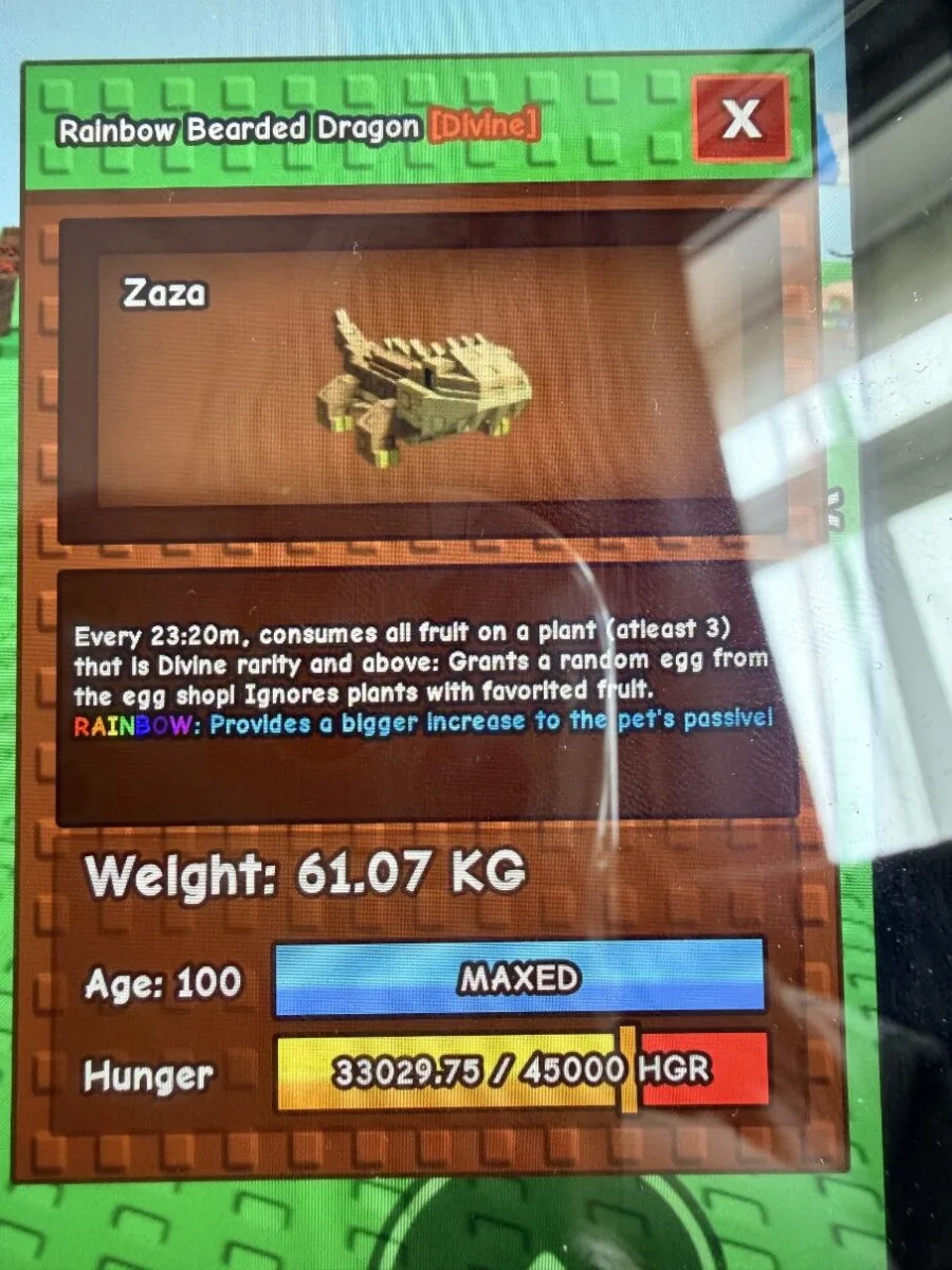 Rainbow bearded dragon 61kg — Account account