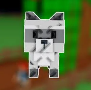 Raccoon (Legendary) — Account account