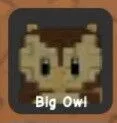 Owl (Uncommon) — Account account