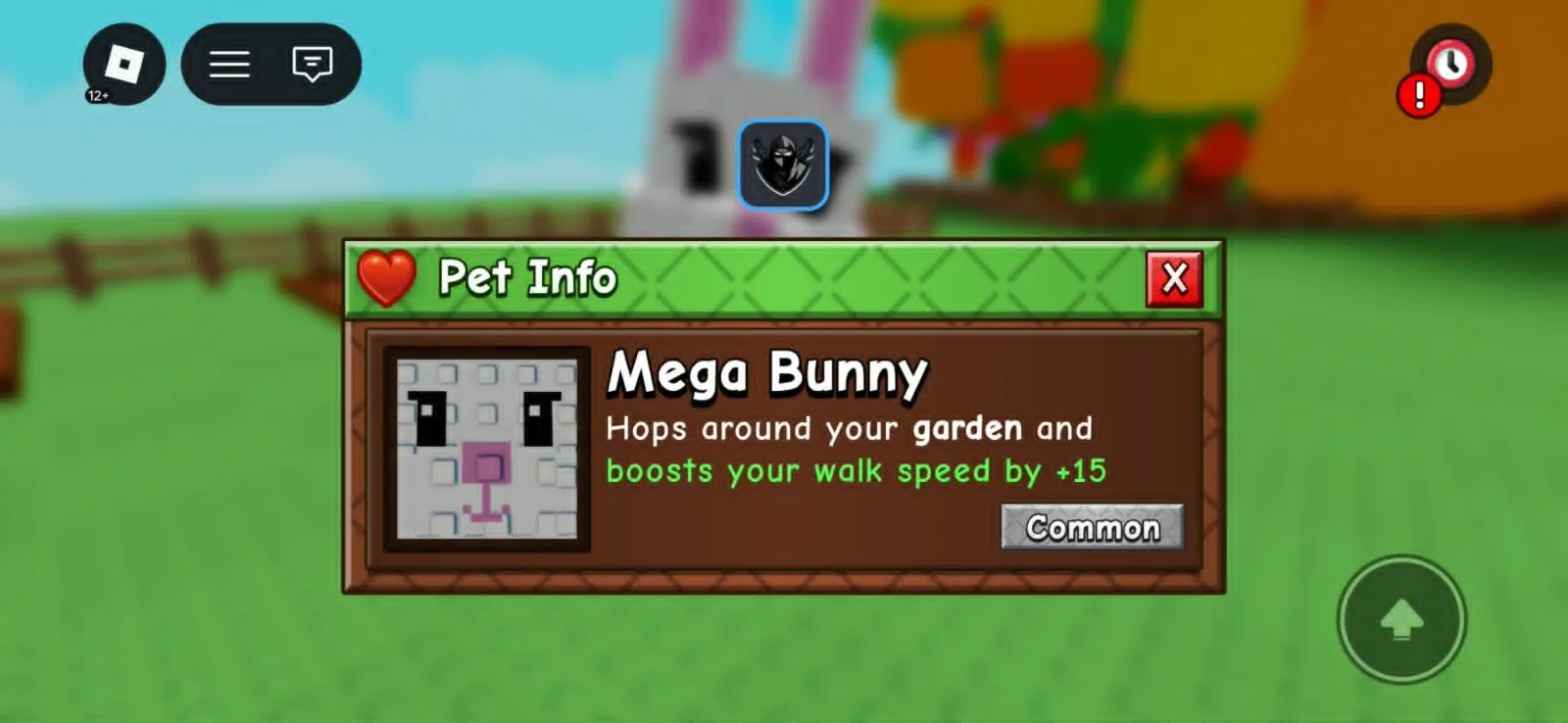 Bunny (Common)