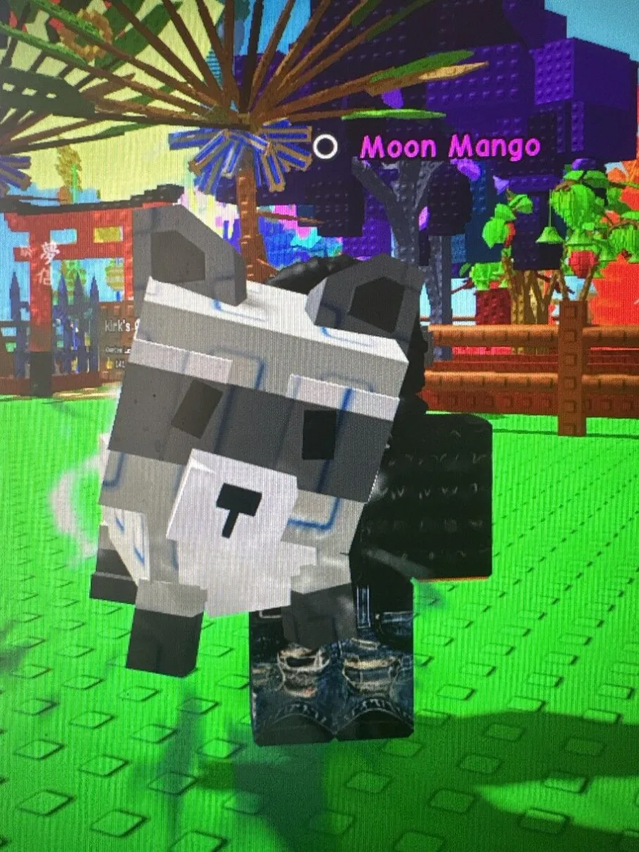 Mutated Raccoon — Account account