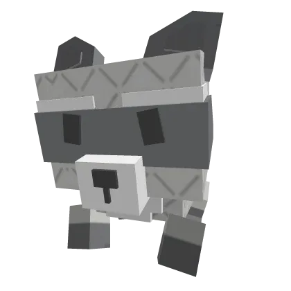 Raccoon — Account account