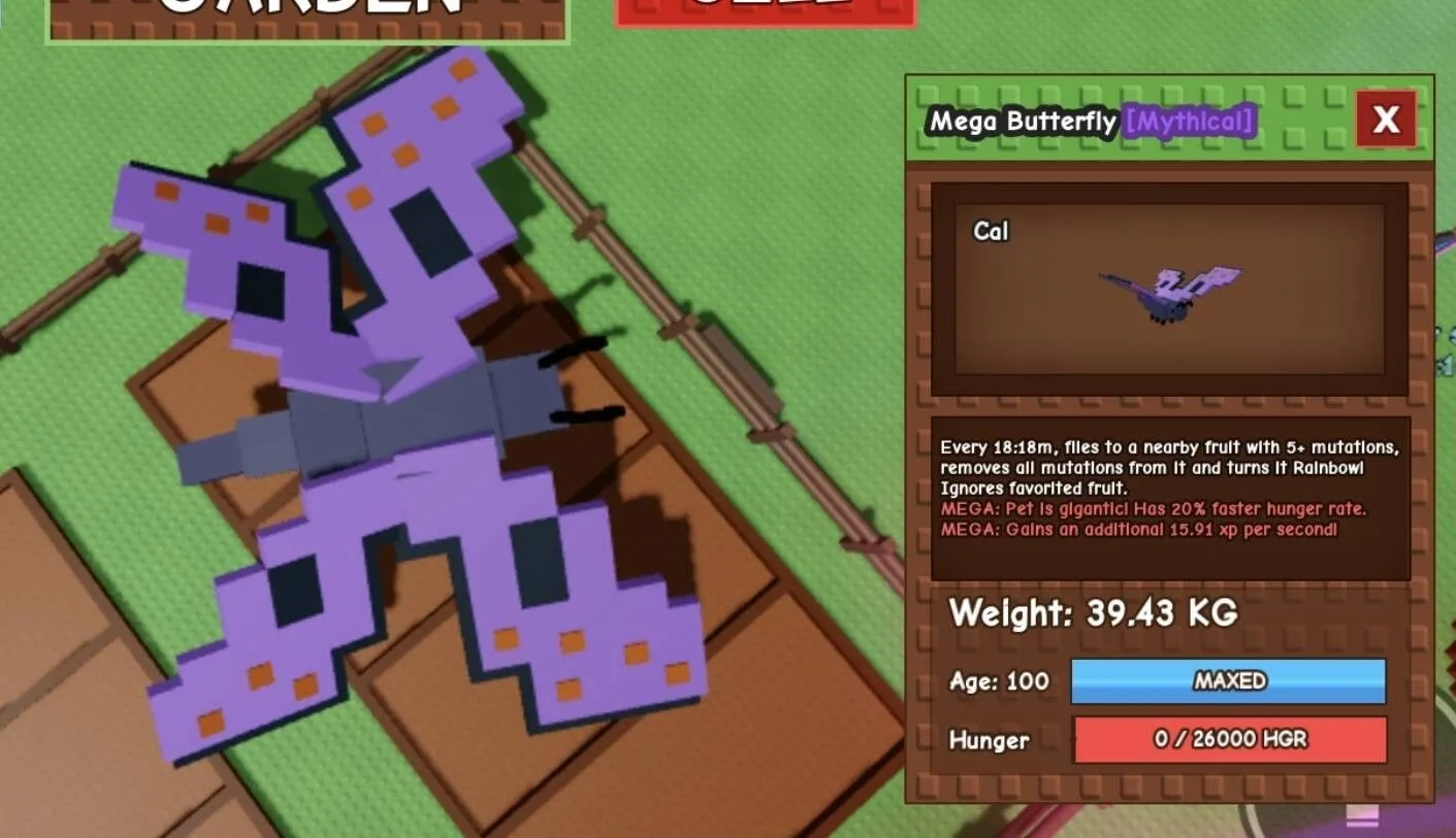 Huge MEGA Butterfly - 39.43 KG (Age 100)