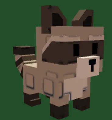 Raccoon — Account account