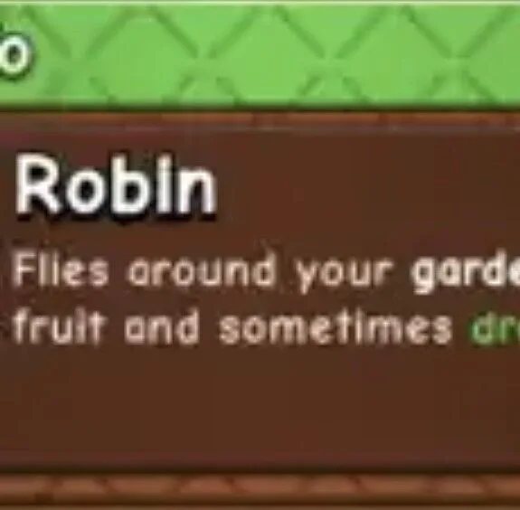 Robin Pet