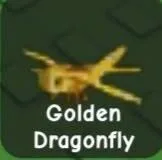 Golden Dragonfly — Account account