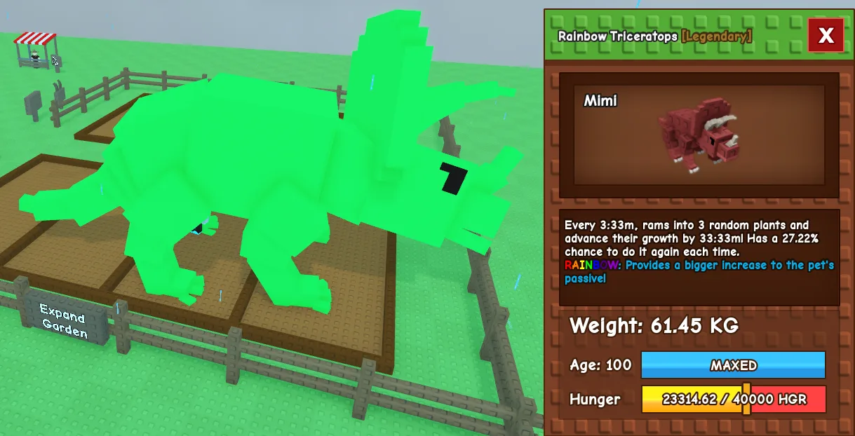 60kg+ Age 100 Rainbow Triceratops