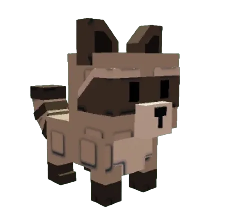 Raccoon Good Size