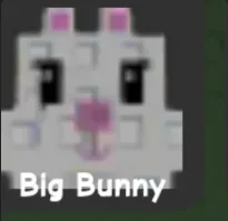 Bunny — Account account