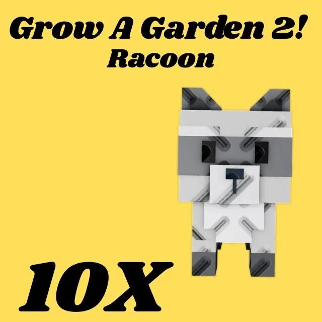 Raccoon