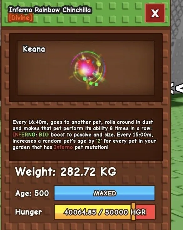 INFERNO RAINBOW HATCHED TITANIC CHINCHILLA