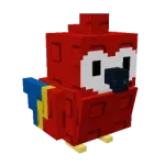Scarlet Macaw — Account account