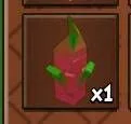 Dragon Fruit Seed