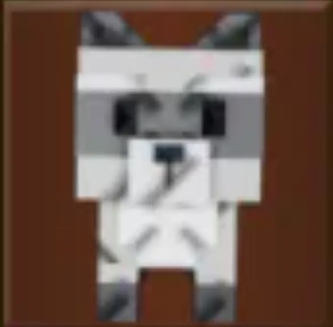 Raccoon (Super)