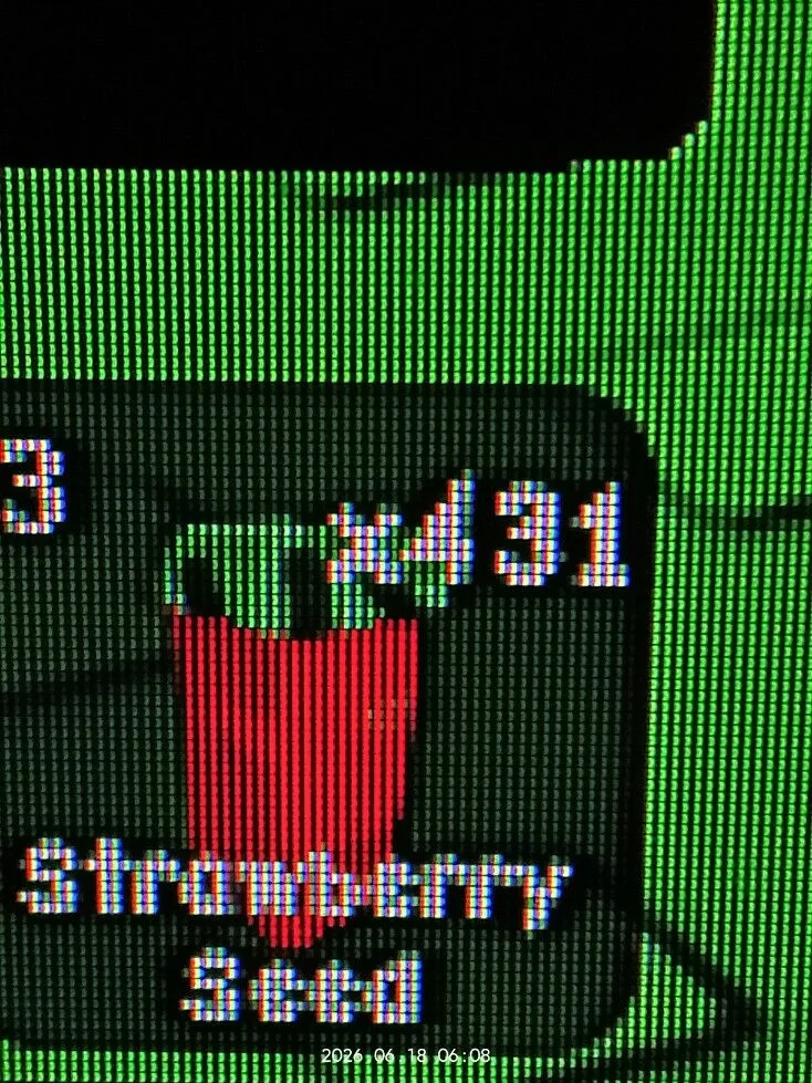 Strawberry Seed (Common) — Account account