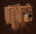 NEW! Bear Pet Fast Delivery — Account account