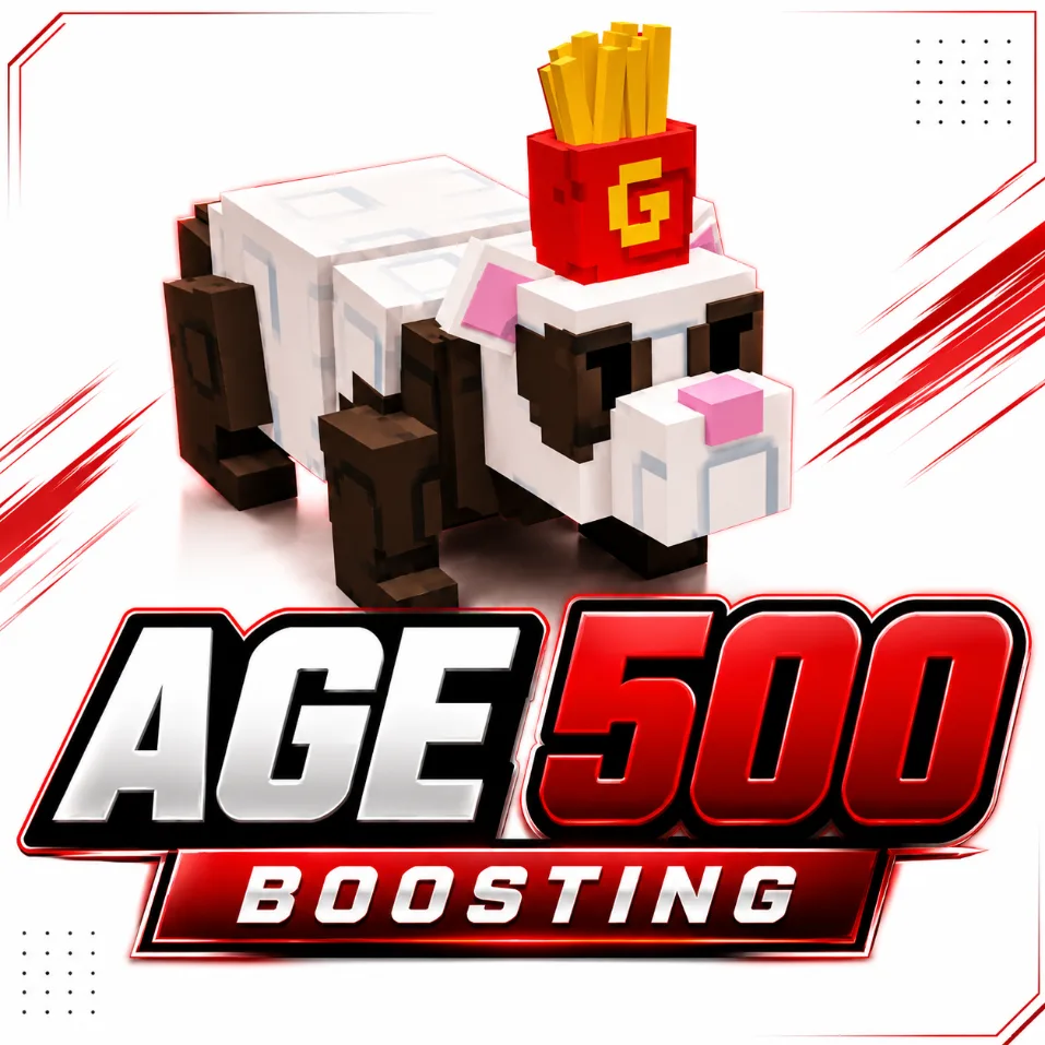 Age 500 Boosting Service Fast & Manual