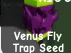 Venus Fly Trap Seed (Mythic)