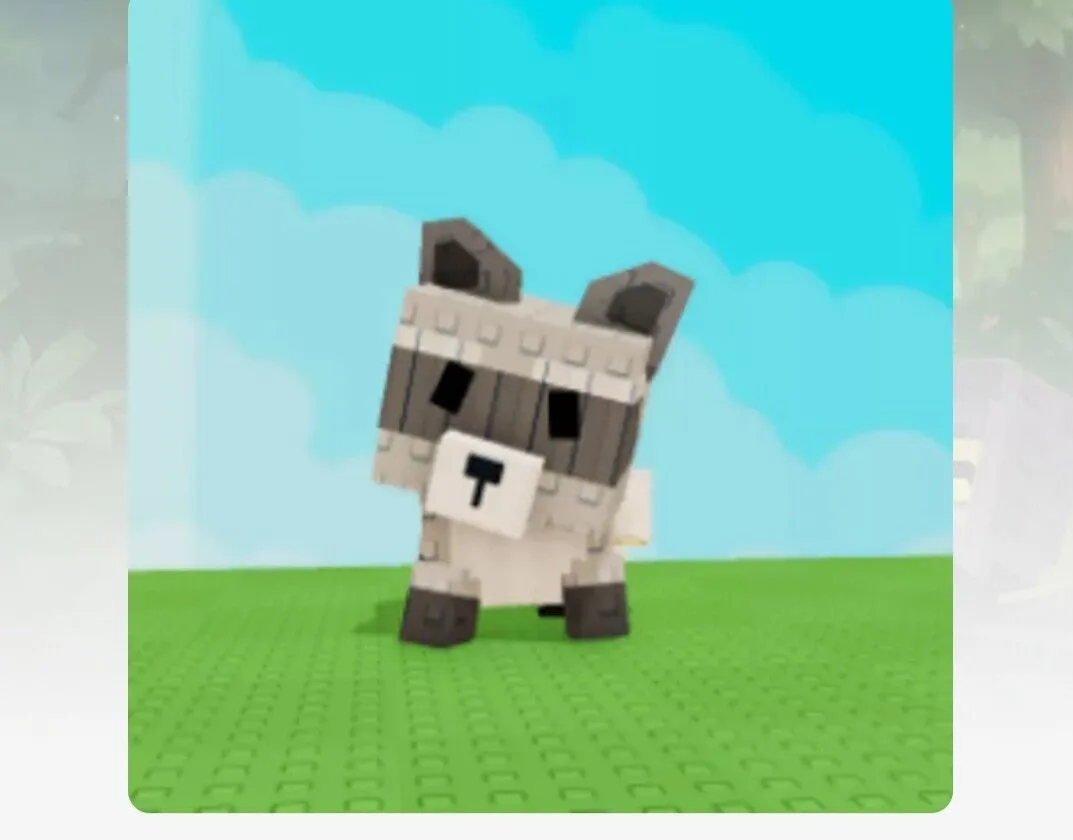 RACCOON 100 CLEAN REAL STOCK