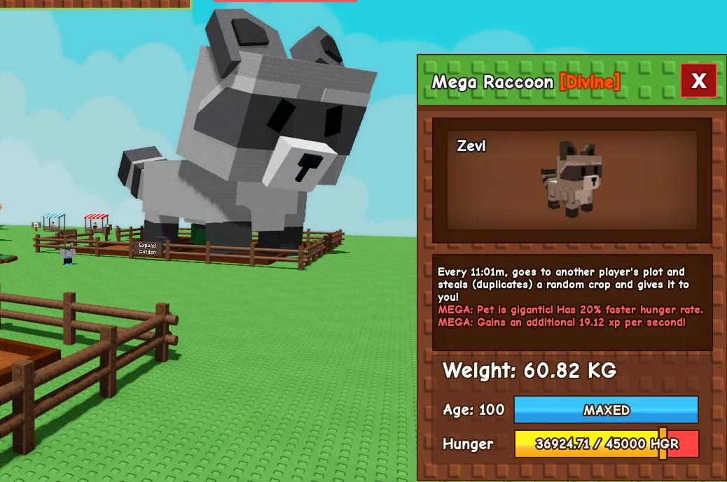 61.32kg Age 100 Mega Raccoon