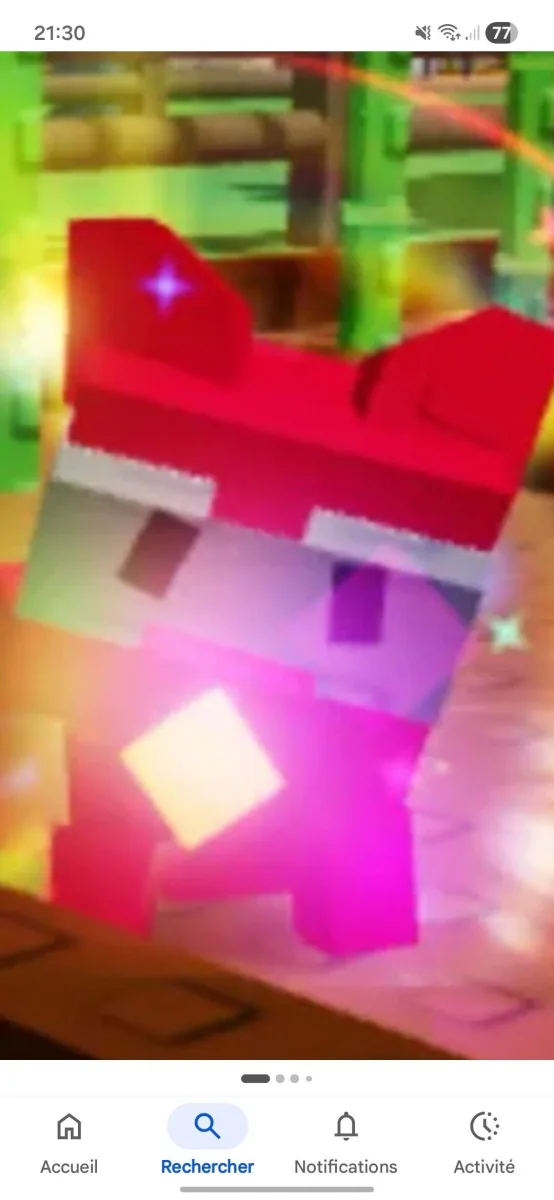 Raimbow racoon