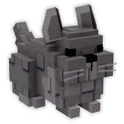 Chinchilla