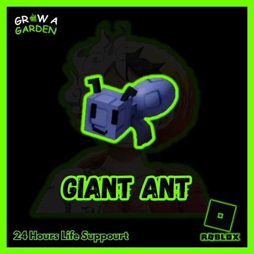 Giant Ant — Account account