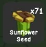 Sunflower Seed