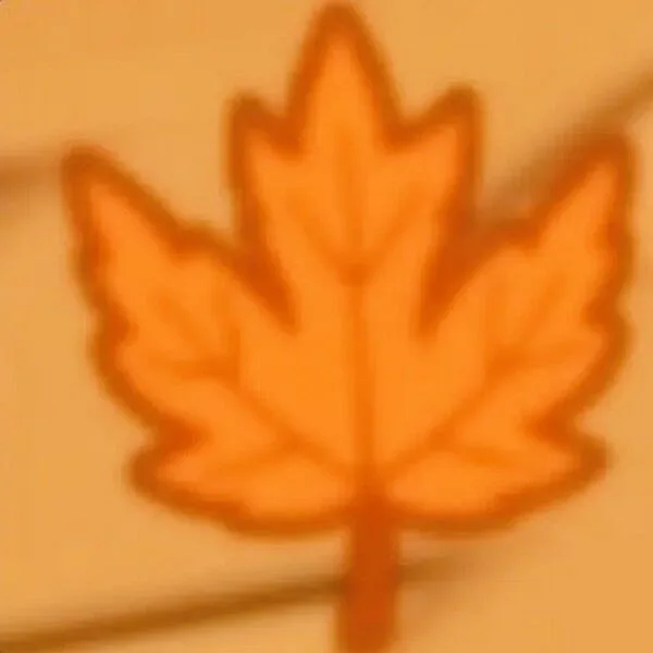 1 Billion Fall Leaves FAST DELIVERY