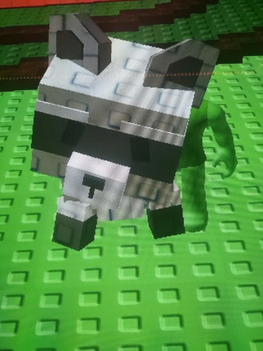 Grow a garden1 no mutation raccoon bass size — Account account