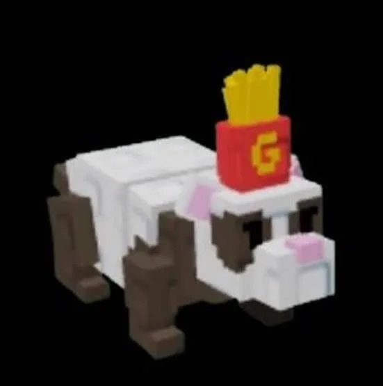SHINY FRENCH FRY FERRET 8.46KG