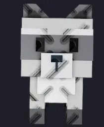 Raccoon